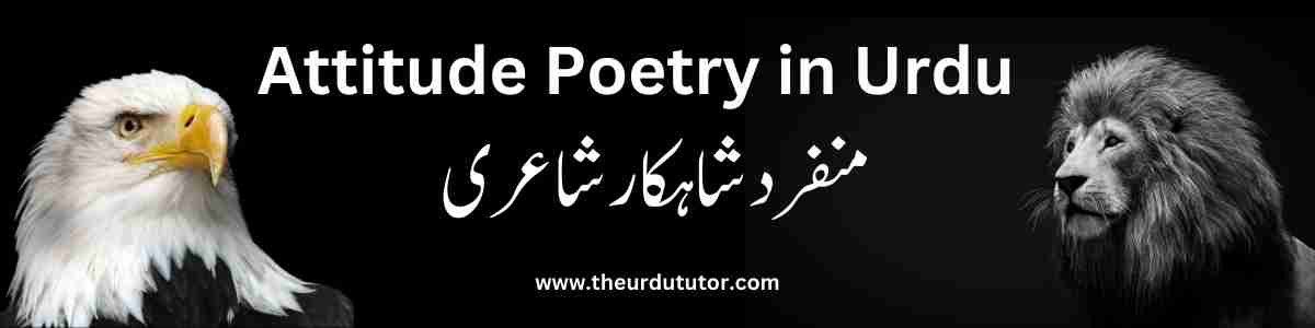Attitude Poetry in Urdu